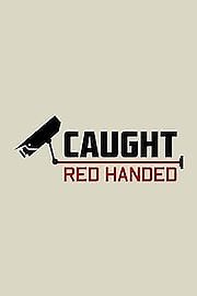 Watch Caught Red Handed Season 1 Episode 3 - Flimingtons