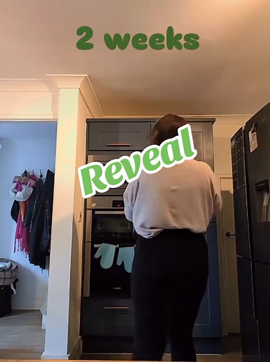 The next big adventure in my life, Meet Apollo! the Nova Scotia Duck Tolling Retriever 🐕 Follow us to watch him grow! #dogsoftiktok #dogs #tollerpuppy #puppydog #puppylove #novascotiaducktollingretriever #novascotiatiktok #puppiesoftiktok #puppies