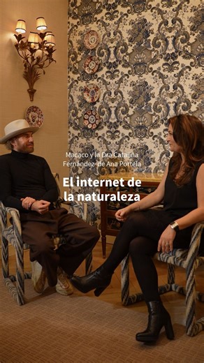 Hifas da Terra on Instagram: "@dani_macaco y la Dra. @catafdeanap hablan sobre la importancia de los hongos en la vida. Todo está interconectado en el ecosistema cuando estamos dispuestos a escuchar."