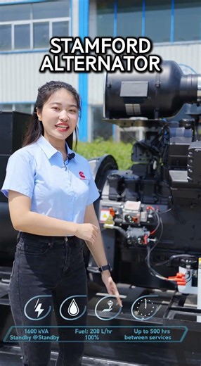 Meet the Beast: 1600kVA of Raw Cummins Power! ⚡️