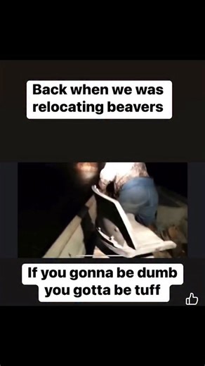 Coty Taylor on Instagram: "Beaver relocation program"