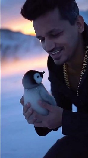 Rare Soft Baby Penguin Rescue from Snow ❄️ | Emotional Animal Saving Video | #viral