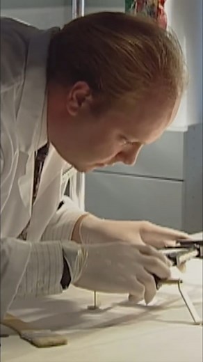 Analysts found a speck of red nylon fiber at the scene. Fiber evidence vanishes quickly, making this a near miracle. It could be from the killer's car. Keeping it secret may help catch him. #ForensicScience #CrimeScene #FiberAnalysis #Evidence #SerialKiller | The FBI Files