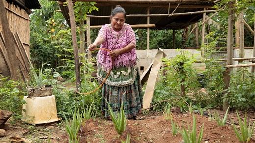 Transforming conservation: towards community-led nature governance