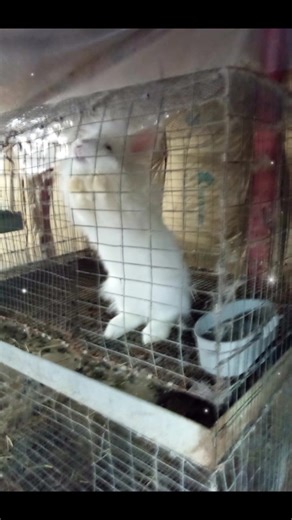 James Hartline (@james.hartline6)’s videos with Simple Man - Creed Fisher