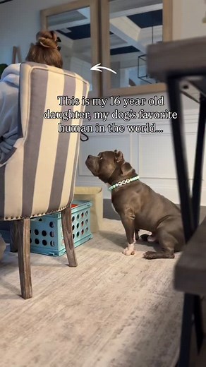 216K views · 91K reactions | Caught them on camera and it melts my...