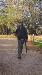 32 reactions | Monarchs Rule • • • Monarch Butterflies in Santa Cruz...