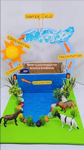 Water Cycle Project for Science Exhibition ❤️ Water Cycle for Short Video #scienceproject #shorts