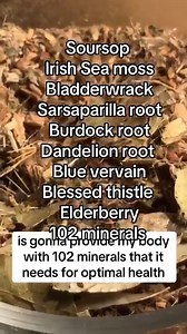 Fasting Kit ready: three purpose‑crafted teas for every part of your fast. Prepare in minutes 🍵🕒 | Big Brain Brew