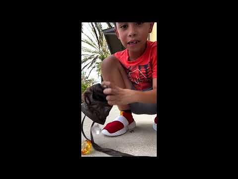 Sonic Shoes Unboxing Reveal! (Chaos Emeralds and Rings included)