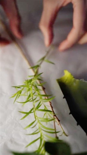 Arencia on Instagram: "Where purity meets precision. ✨ Behind every Arencia formula lies the art of capturing nature — every texture, every color, every drop. From raw ingredients to refined beauty, it’s more than a process — it’s a philosophy. 💛 #Arencia #BehindTheScenes #ArenciaMood #CleanBeauty #StudioStory"