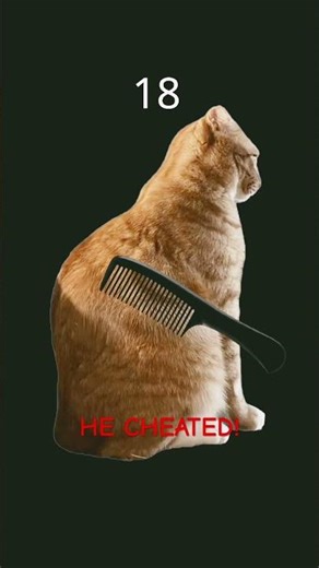 CHEATER! #funny