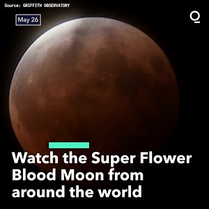 1.2K views · 20 reactions | The super flower blood moon—a supermoon, total lunar eclipse, blood moon combo—dazzled stargazers around the world Tuesday night.  | Bloomberg Originals | Facebook