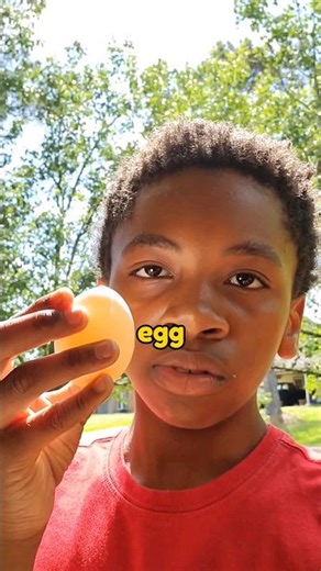 Can You Cook An Egg With A Heat Gun?