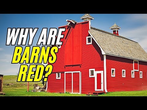 Why Are Barns Red? The Real Reason Might Surprise You!