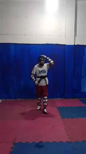 Change Your Sport? Exploring Taekwondo and Arnis