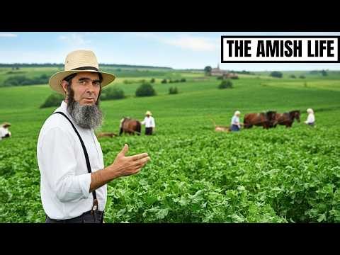 Why Amish Crops NEVER Fail While Modern Farms Lose Everything | The Amish Life