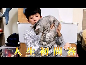 一萬訂閱問答來了！年紀？性別？聲音？貓咪？ | HOOK