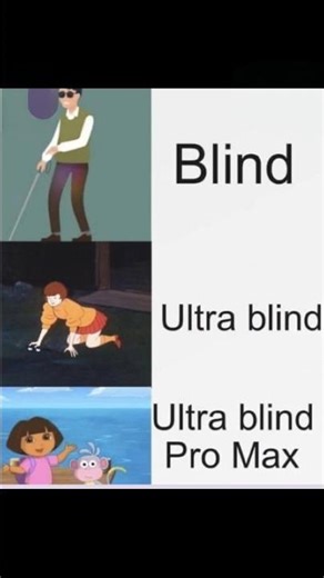 Real 😂# blind Pro Max#front view
