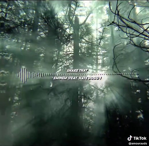 Eminem Edit Ideas: Creative Audio Editing Tips