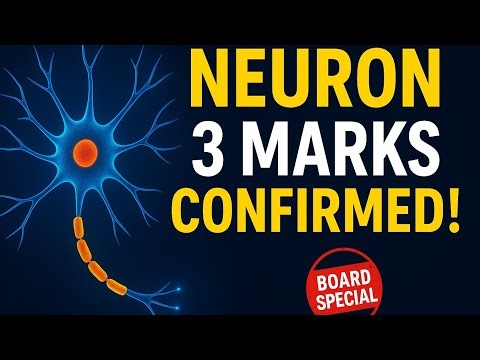 Neuron Class 10 control and coordination