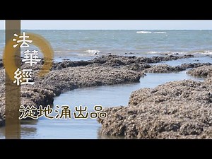 【靜思妙蓮華】法華經從地涌出品 - 無量菩薩 從下發來 - 20230721 第1463集