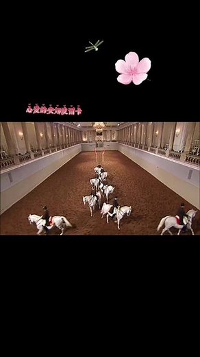 【经典重温】老约翰·施特劳斯创作《心爱的安娜波尔卡》(Beliebte Annen-Polka, Op.137)利皮扎马马术表演… 指挥：小泽征尔指挥(2002年)…#古典音乐 #欧美金曲 #交响乐 #欧美经典音乐 #经典回顾