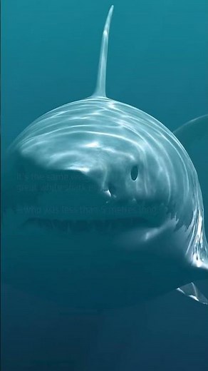 ⛵ Did you know? UniCredit is a proud Global Partner and Global Banking Partner of America's Cup