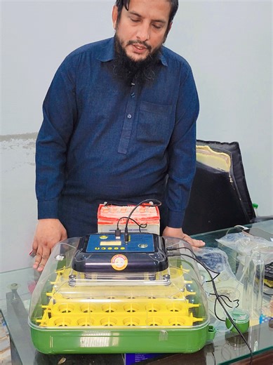 30 Egg Incubator: Fully Automatic for Birds and Poultry