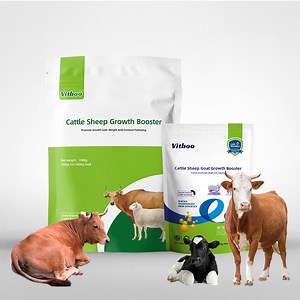 [Hot Item] Cattle Fattening Feed Additive Sheep Growth Booster Vitamin Feed Veterinary