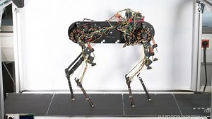 Robot Dog Learns To Walk From Scratch In An Hour