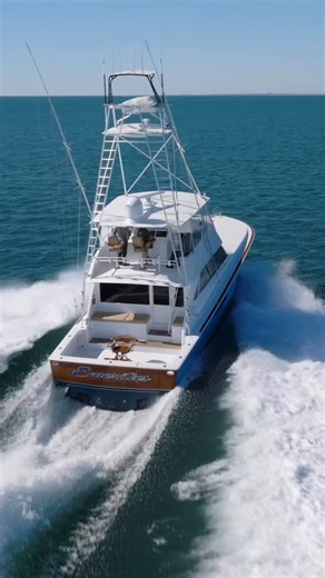 Riggs Yacht Sales | 🚨Listing is Live🚨 This 2001 61’ Viking features a desirable four-stateroom, three-head layout and numerous interior updates. “Emeritus” is... | Instagram