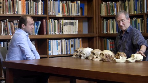 A Crash Course In Human Evolution With Anthropologist Chris Stringer