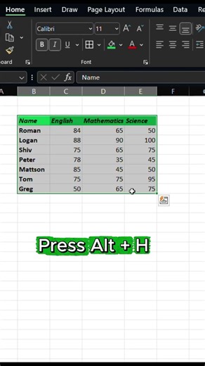 Add Table Borders in Excel Instantly (Alt + H + B + A) #officeskills #excel #exceltips