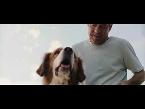 A Dog’s Purpose end credits