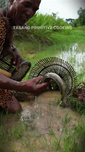 Can You Do This? Catching Striped Snakehead Fish by Hand #snake #challenge #wilderness