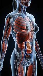 What REALLY Happens When You Drink Coca-Cola | 3D Educational Animation