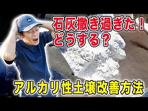 What to do if you add too much lime: Improving alkaline soil