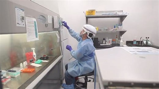 How testing kits for COVID-19 work