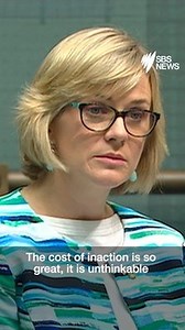 Independent MP Zali Steggall says the environment is not a 'left issue' as she calls on the coalition to act on climate change in her maiden parliamentary speech. | SBS News