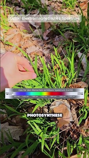 🌈 🌿 Why is nature green? (Physics, Optics) #physics #medicalstudies #optics