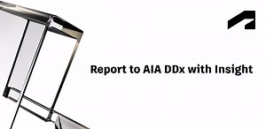 Report to AIA DDx with Insight | Autodesk