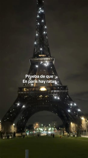 París está plagado de ratas #paris #vlogs #travel