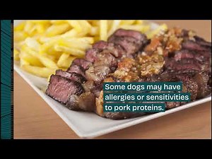 Can Dogs Eat Pork? What Vets Want You to Know