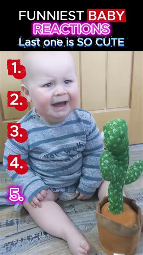 Ranking The Funniest Baby Reactions ###