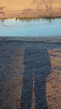 He said, Good morning, good to see you and I said...