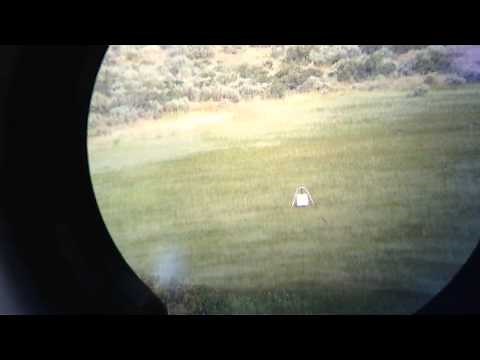 Howa 1500 .308 Win. Long Shots