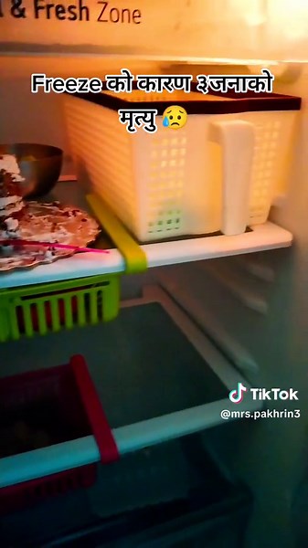 Exploring Refrigerator Organization and Food Variety