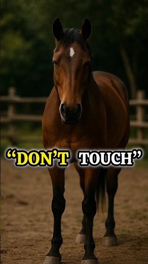 Horse Warning Signals That Can Break Bones#shorts