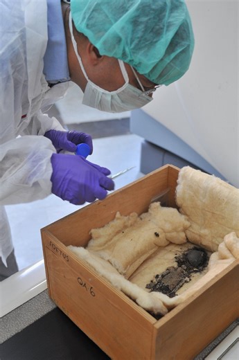 King Tut Unwrapped (2009) | ČSFD.cz